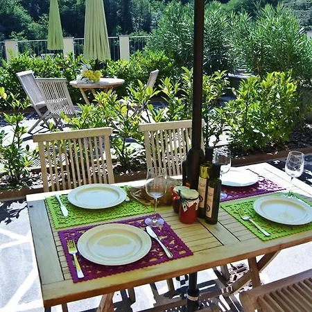 Olivium 라스페치아