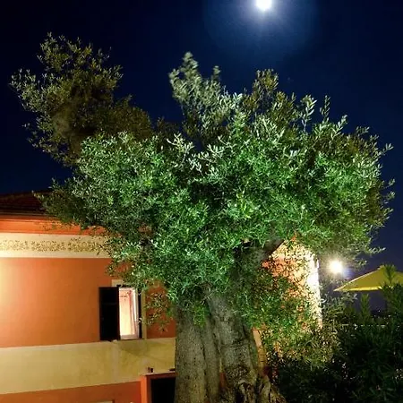 Apartmán Olivium La Spezia