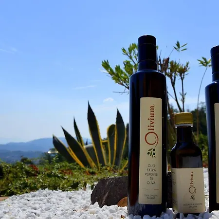 Olivium アパート