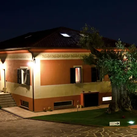 奥利韦姆酒店 *