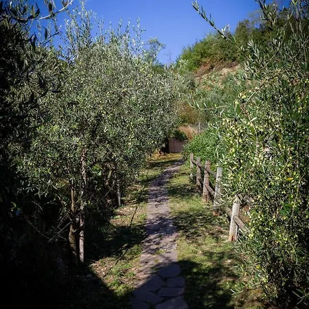Olivium * La Spezia