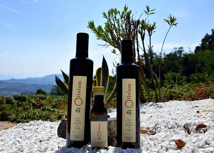 奥利韦姆酒店 公寓 *