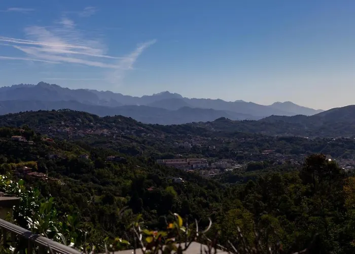 奥利韦姆酒店 斯培西亚