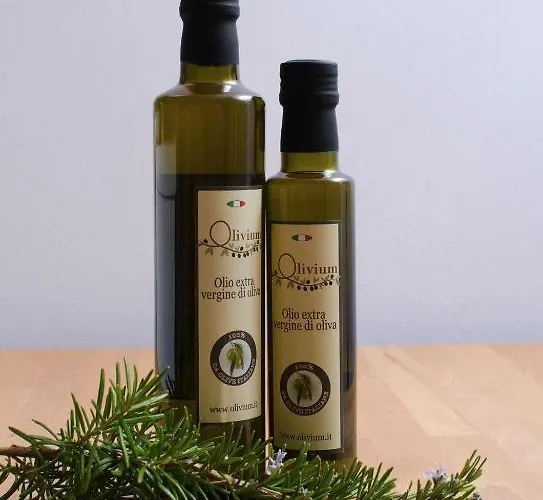 奥利韦姆酒店 公寓 斯培西亚